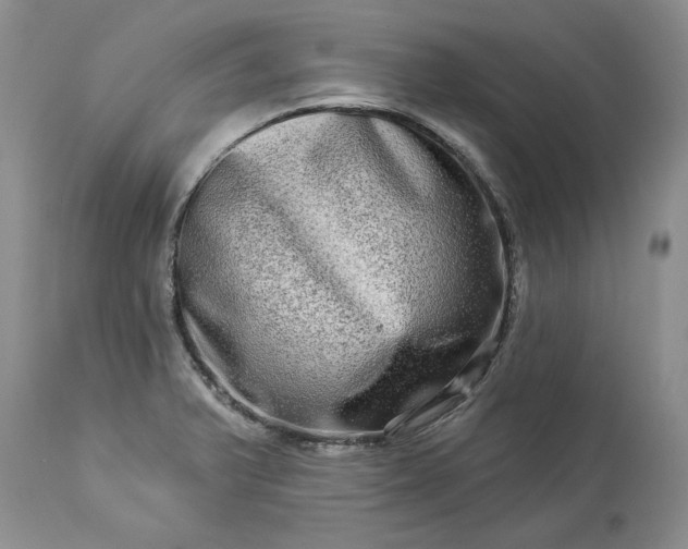 X0000114211375200910231356