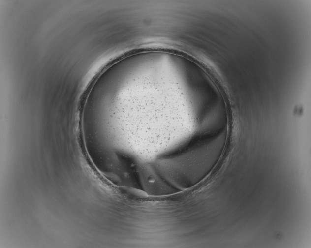 X0000114211376200910231356