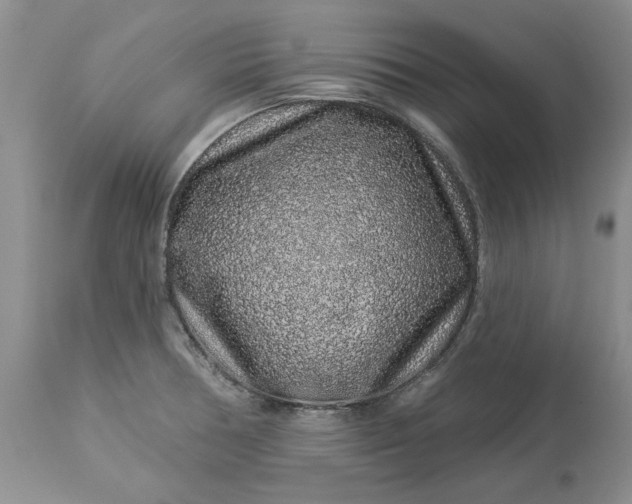 X0000114211378200910231356