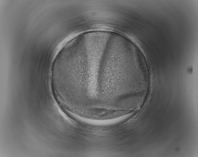 X0000114211379200910231356