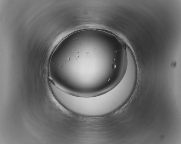 X0000114211381200910231356