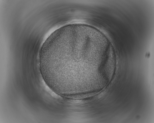 X0000114211382200910231356
