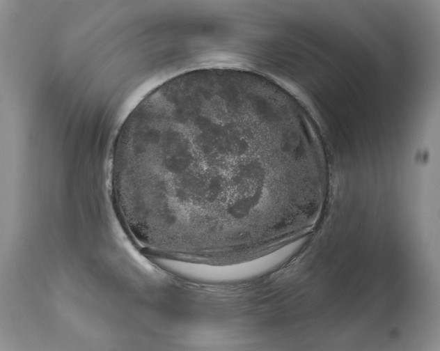 X0000114211383200910231356