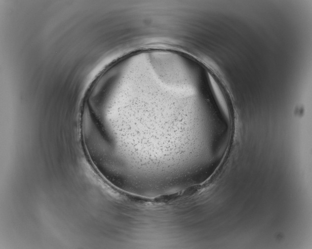 X0000114211384200910231356