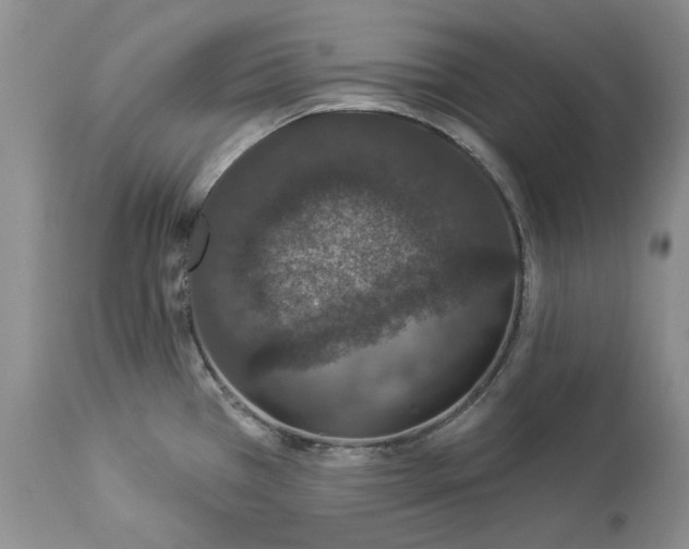 X0000114211385200910231356