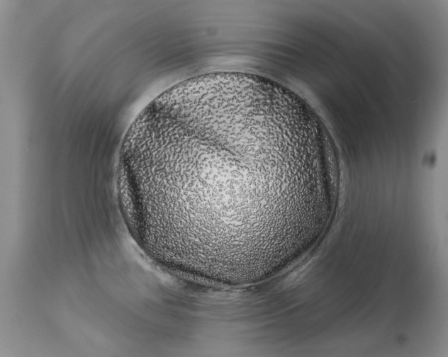 X0000114211386200910231356