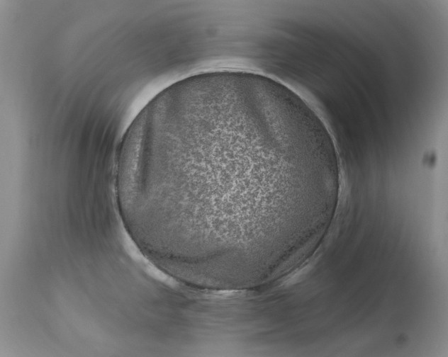 X0000114211390200910231356