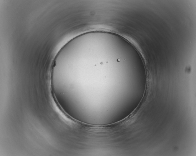 X0000114211391200910231356