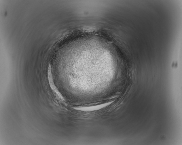 X0000114211393200910231355
