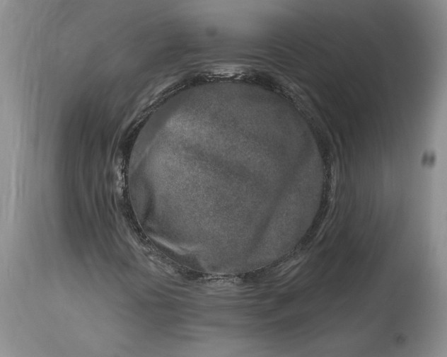 X0000114211394200910231355
