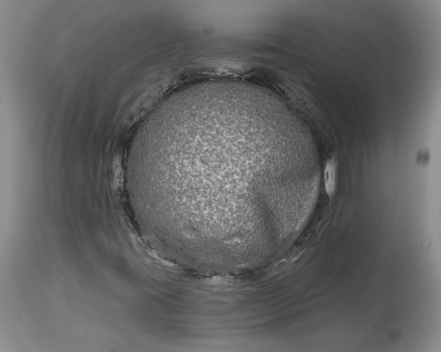 X0000114211395200910231355