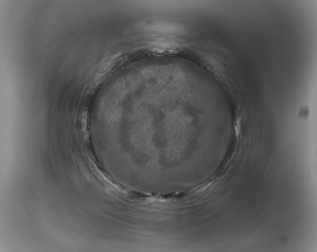 X0000114211396200910231355