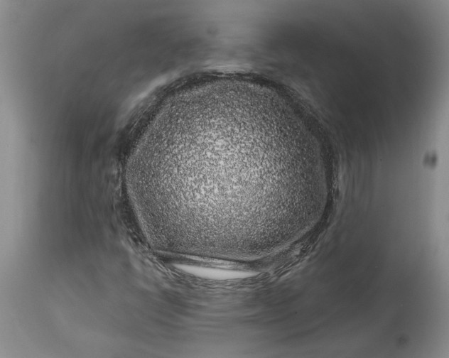 X0000114211398200910231355