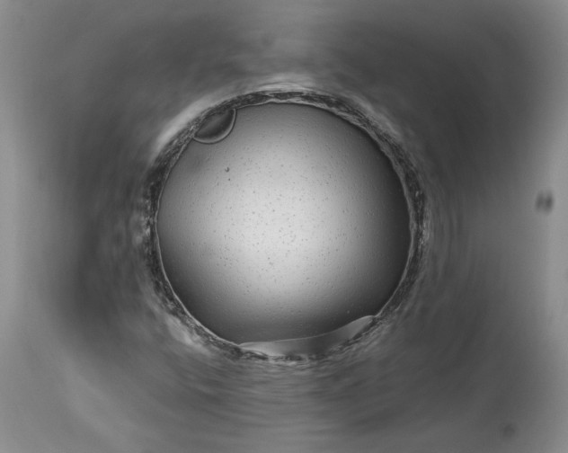 X0000114211400200910231355