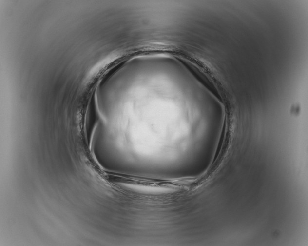 X0000114211402200910231355