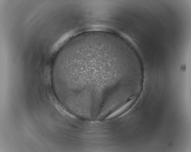 X0000114211403200910231355