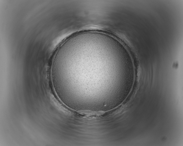 X0000114211404200910231355