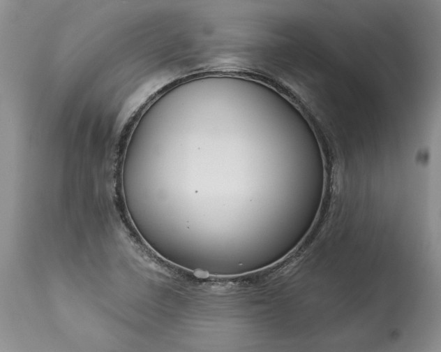 X0000114211410200910231356
