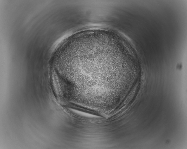 X0000114211411200910231356
