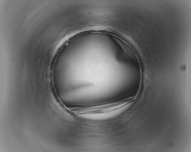 X0000114211412200910231356