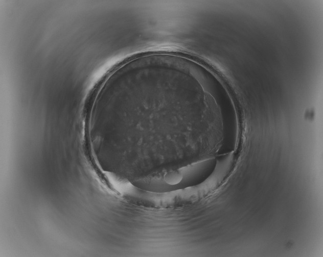 X0000114211414200910231356