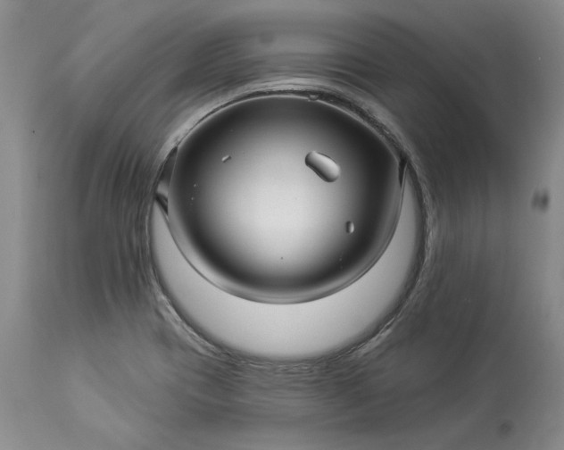 X0000114211417200910231356