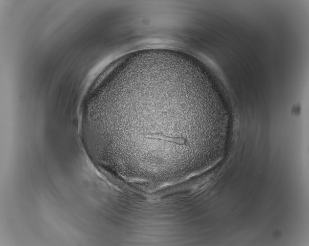 X0000114211419200910231356