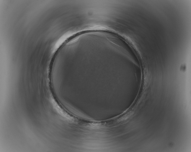 X0000114211422200910231356