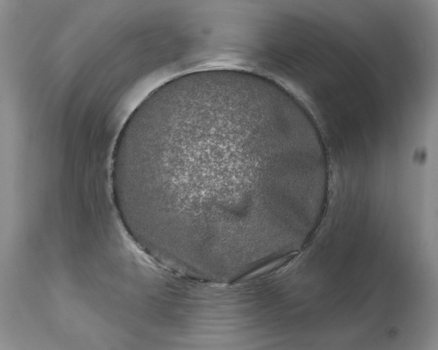 X0000114211423200910231356