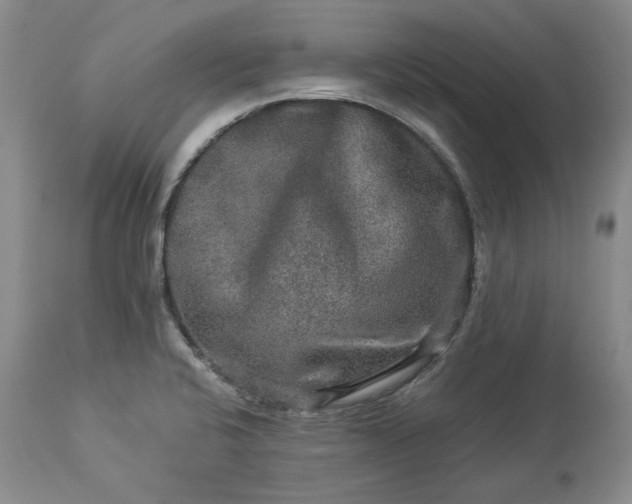 X0000114211424200910231356