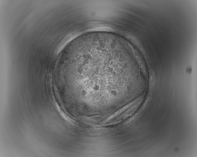 X0000114211425200910231356