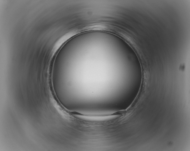X0000114211426200910231356