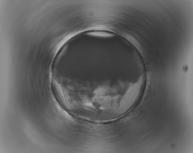 X0000114211428200910231356