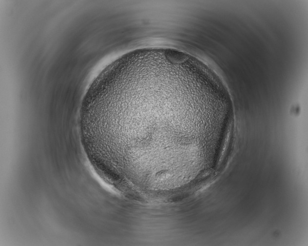 X0000114211429200910231356