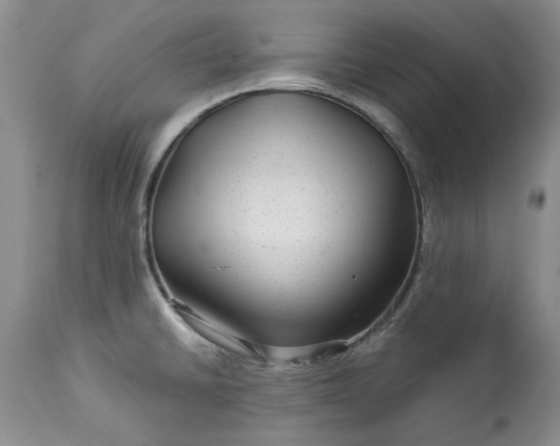 X0000114211430200910231356