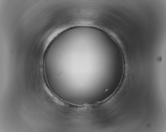 X0000114211432200910231356