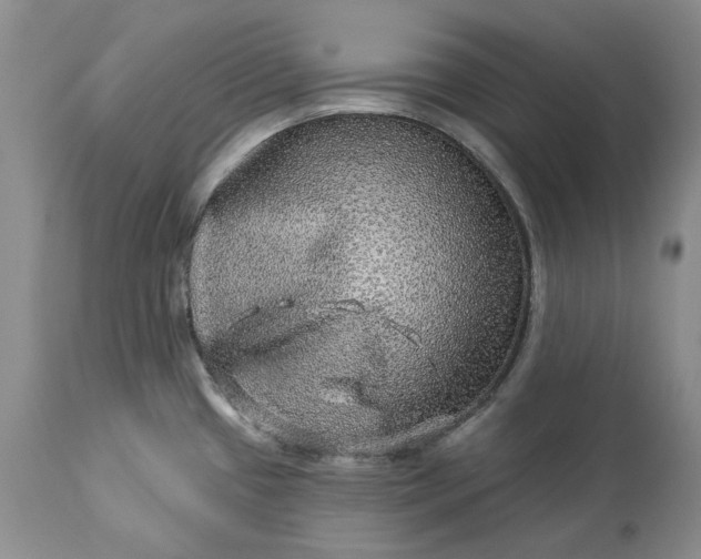 X0000114211433200910231356
