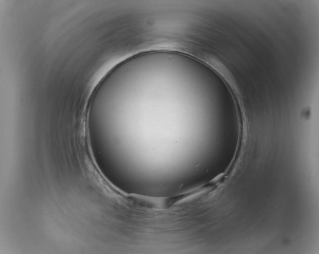 X0000114211436200910231356