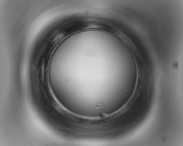 X0000114211439200910231356