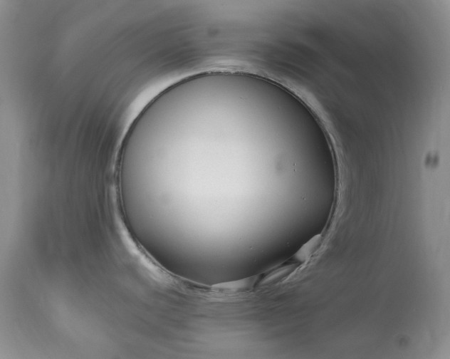 X0000114211440200910231356