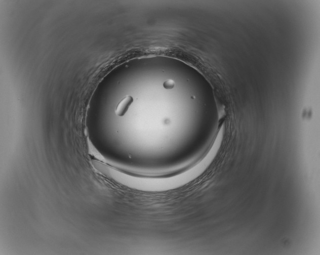 X0000114211441200910231355
