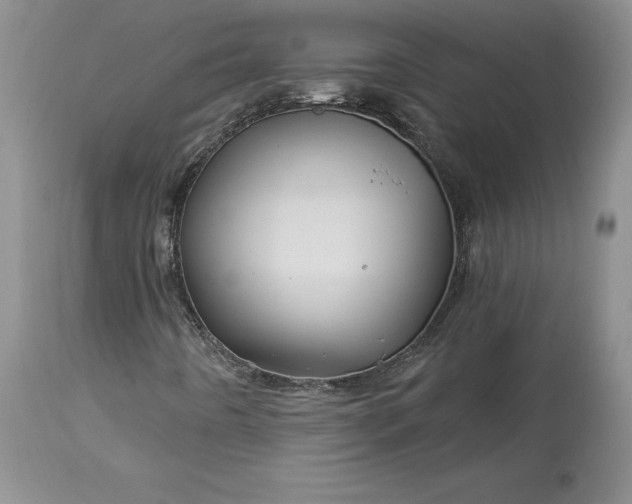 X0000114211442200910231355