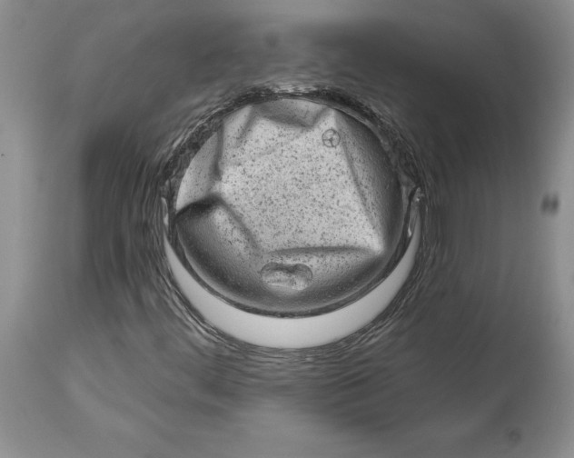 X0000114211444200910231355