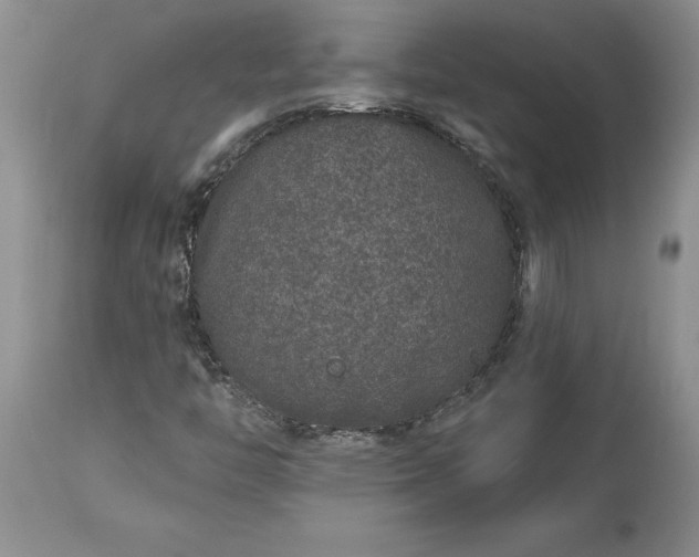 X0000114211446200910231355