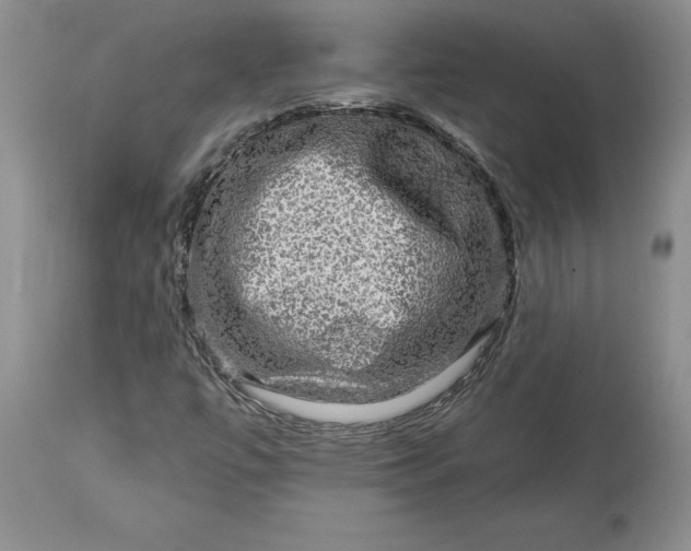 X0000114211447200910231355