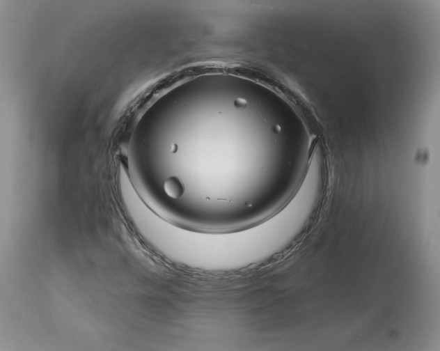 X0000114211448200910231355