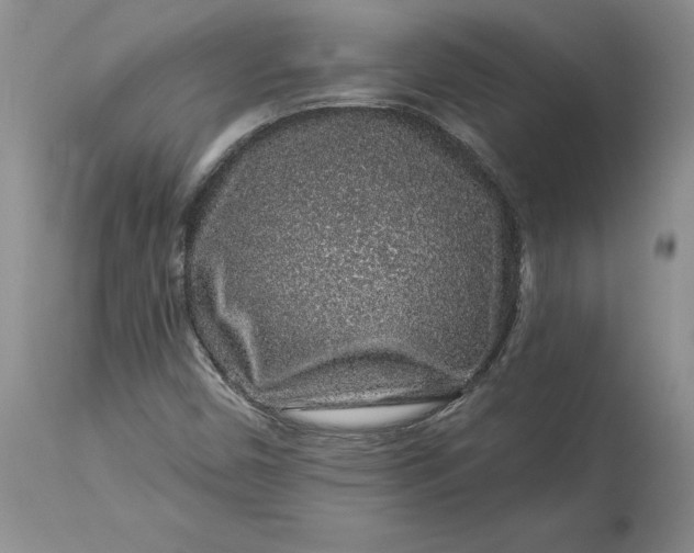 X0000114211450200910231355