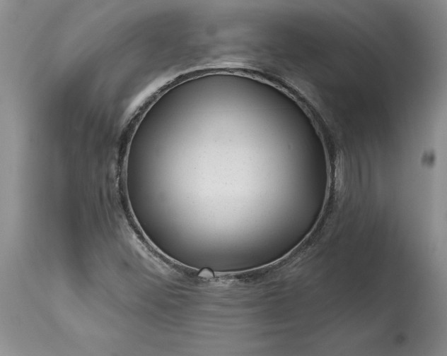 X0000114211452200910231355