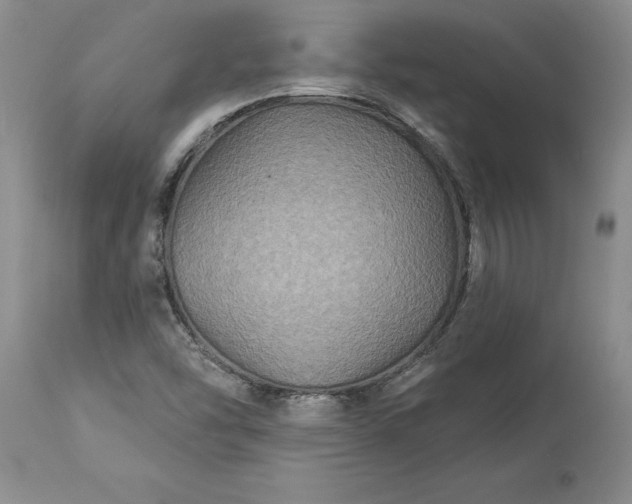 X0000114211454200910231355