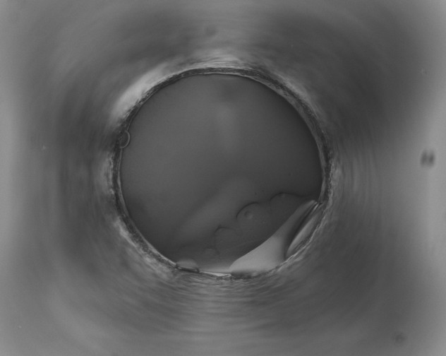 X0000114211455200910231355